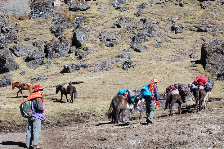 unsere Begleiter.JPG